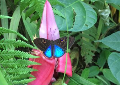 Abenteur und Natur in Costa Rica
